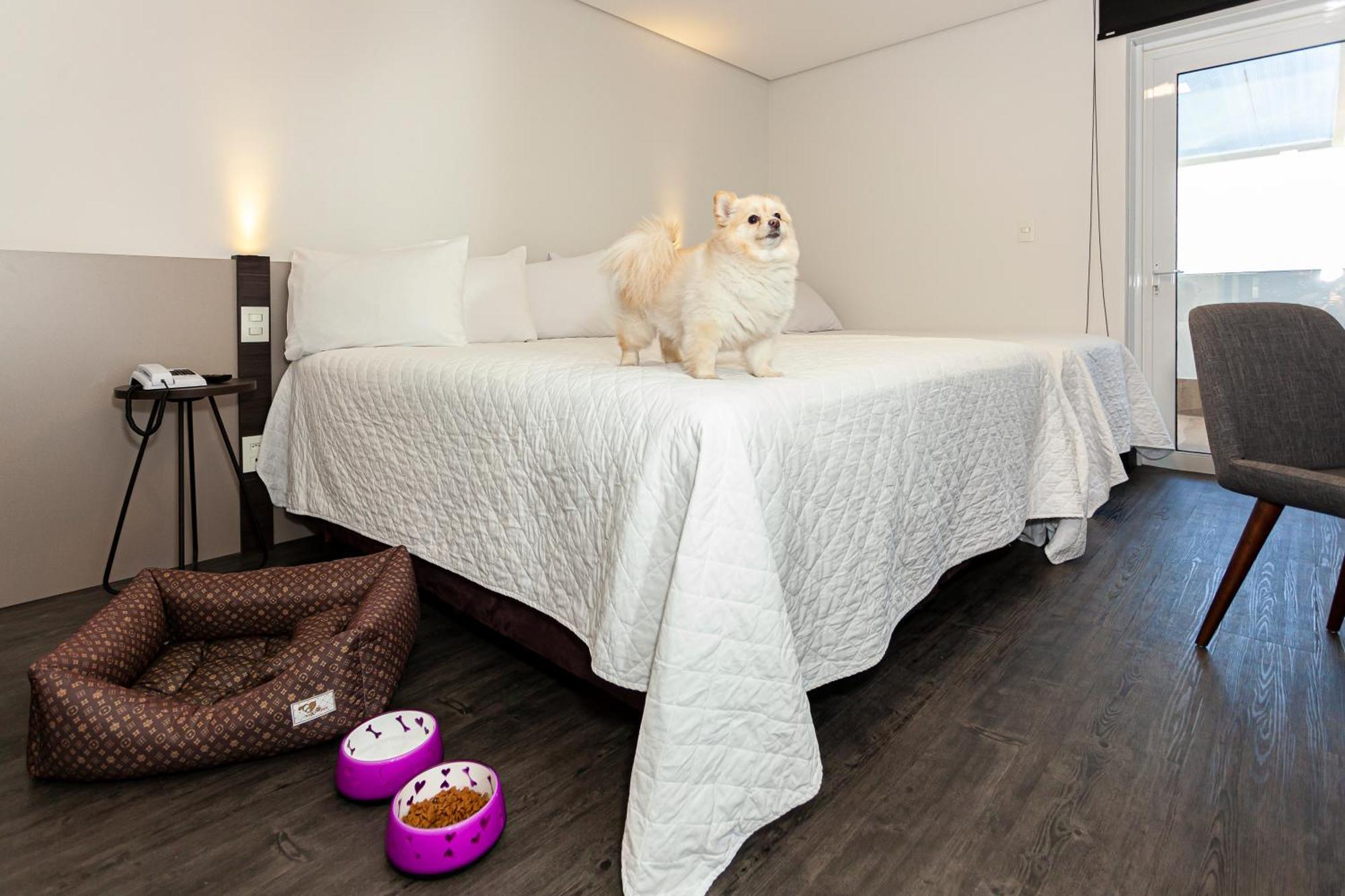 Travel Inn Hotels 카시아스두술 외부 사진